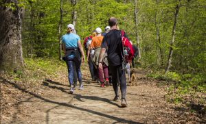 Hiking offers a variety of benefits